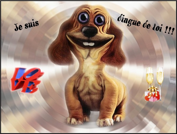 Fond D cran Humour Fond D cran Humour